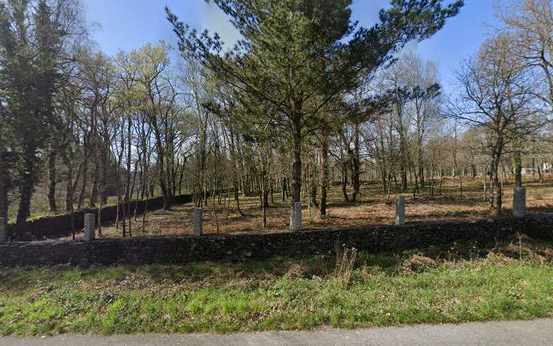 Fotografia tomada fuera de Maderas Castro Varela - Proveedor de marcos de madera en O Corgo, Lugo