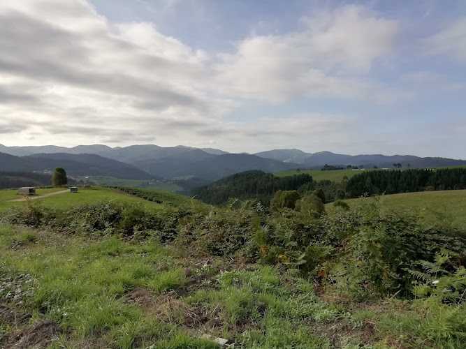 Fotografia tomada fuera de Maderas Navelgas S.L. - Empresa maderera en San Martin de Forcayao, Asturias