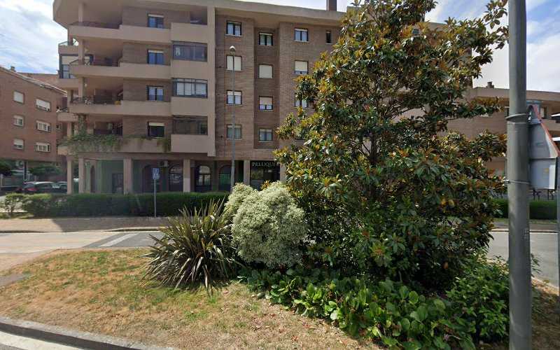 Fotografia tomada fuera de Serrería Barberena - Aserradero en Olloki, Navarra