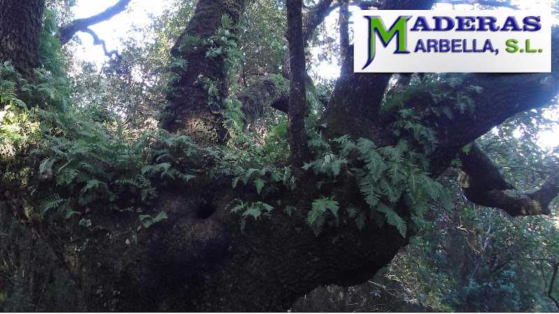 Fotografia tomada fuera de Maderas Marbella - Empresa maderera en Málaga, Málaga