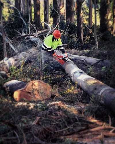Fotografia tomada fuera de Maderas Maradona - Empresa madeireira en Lourenzá, Lugo