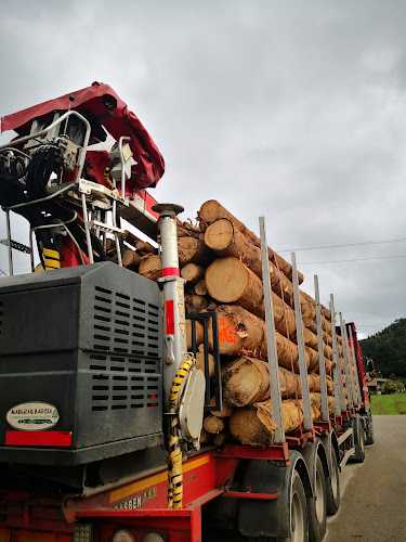 Fotografia tomada fuera de Maderas Barcia S.L.U. - Contratista de explotación forestal en San Xurxo de Lourenzá, Lugo