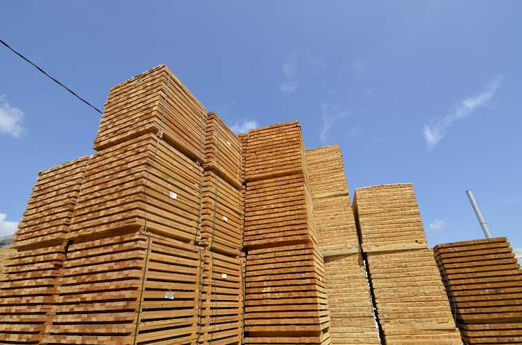 Fotografia tomada fuera de Palets Ribelles - Empresa maderera en Llutxent, Valencia