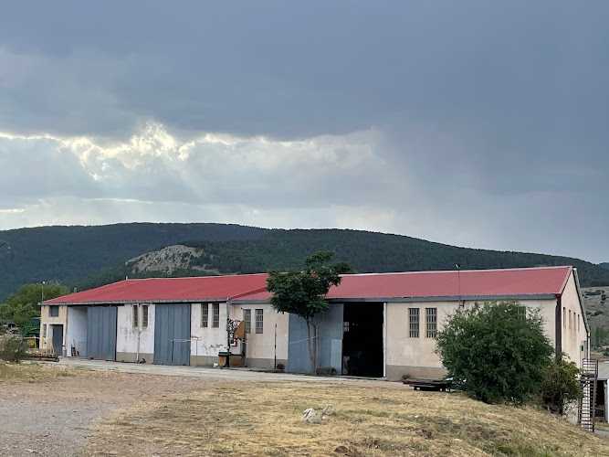 Fotografia tomada fuera de Aserradero de Maderas Vicente Sanchez e Hijos - Aserradero en Orihuela del Tremedal, Teruel