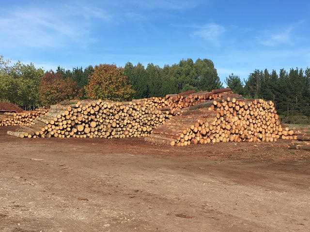 Fotografia tomada fuera de Maderas Gay S.L.U. - Aserradero en Grolos, Lugo