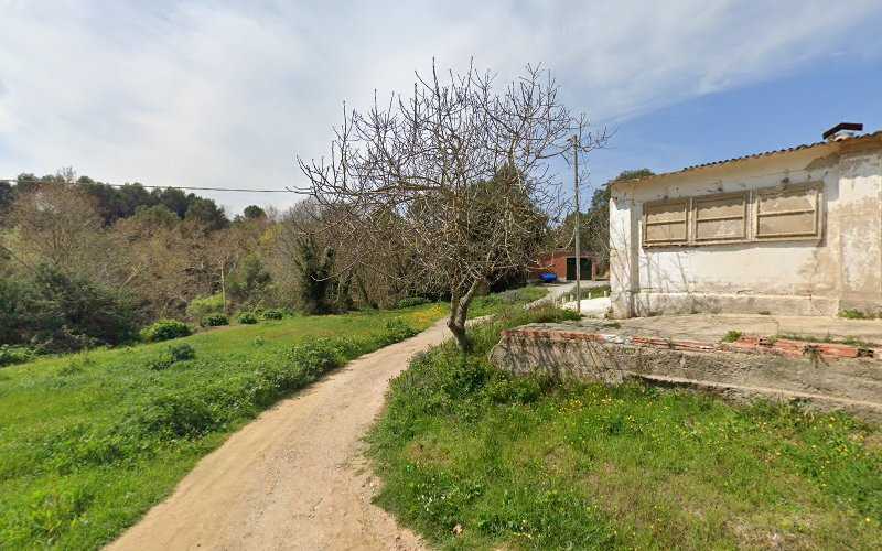 Fotografia tomada fuera de The Wood - Carpintero en Barcelona, Barcelona