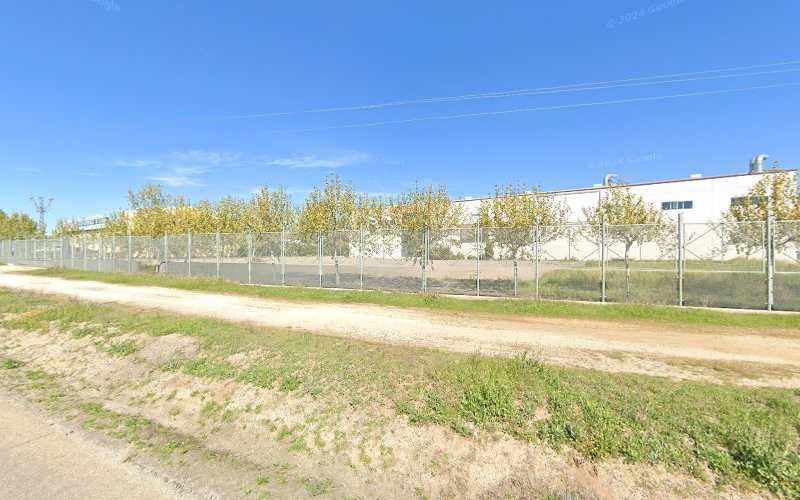 Fotografia tomada fuera de VdASSA - Carpintero en Ajofrín, Toledo