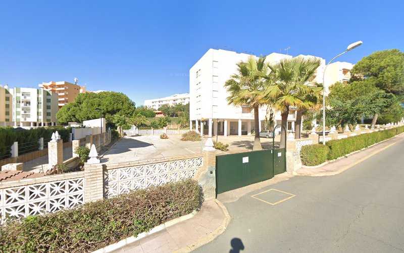 Fotografia tomada fuera de Busco Carpintero - Carpintero en Matalascañas, Huelva