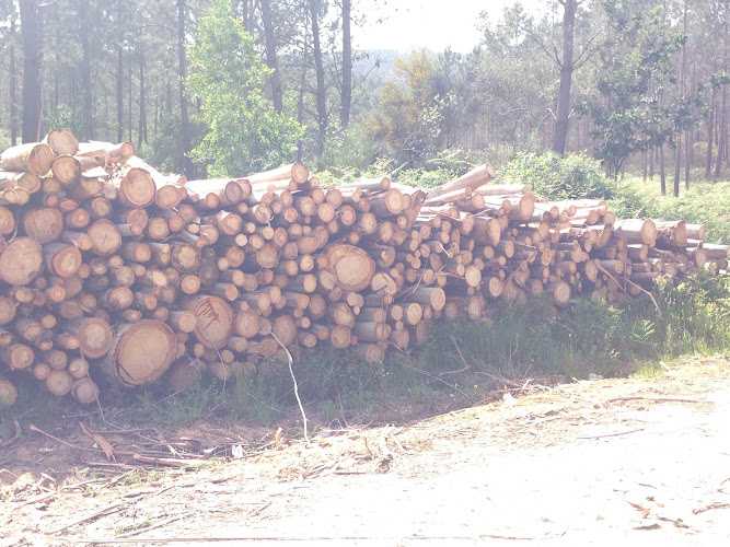 Fotografia tomada fuera de Rogelio Piñeiro Vázquez e Hijos S L - Empresa maderera en O Seixo, Pontevedra