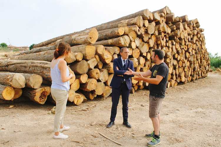 Fotografia tomada fuera de Fustes Borniquel - Aserradero en Lleida, Lérida