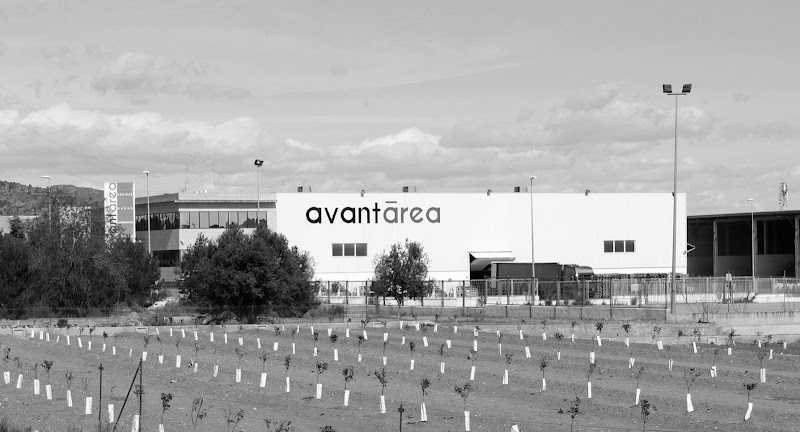 Fotografia tomada fuera de AVANT AREA EUROPE - Carpintería en la Vall d'Uixó, Castellón