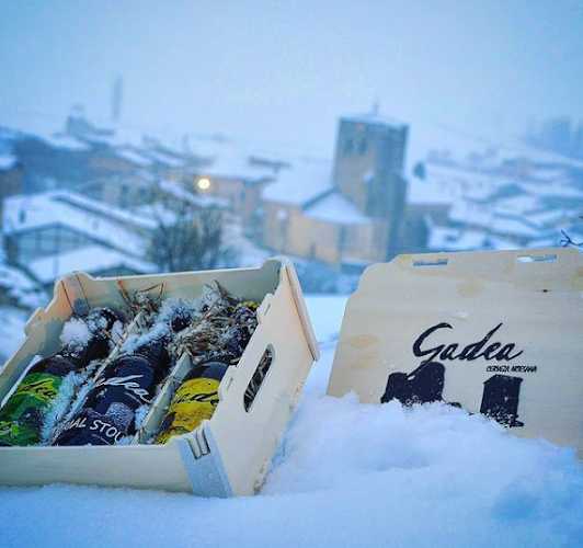 Fotografia tomada fuera de Gadea Cerveza Artesana - Distribuidor de cerveza en Santa Gadea del Cid, Burgos