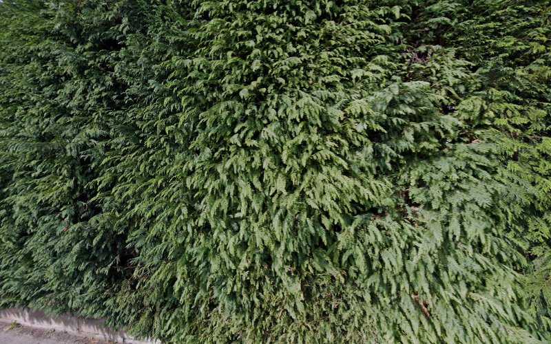 Fotografia tomada fuera de Ebanistería Aurelio Fernández De Diego - Ebanista en Torrelavega, Cantabria