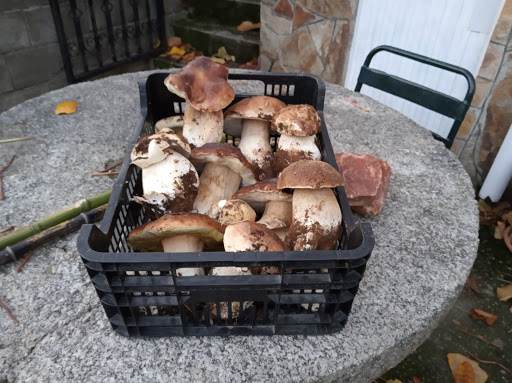 Maderas Blanco - Empresa maderera en Barrio de Lomba, Zamora