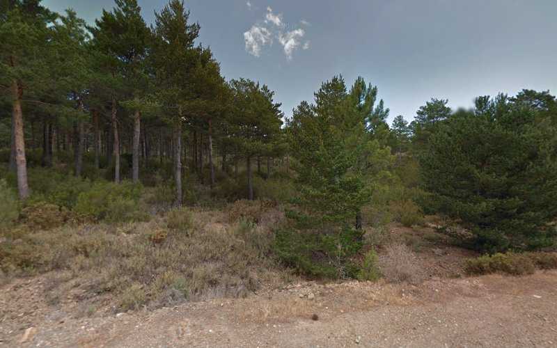 Fotografia tomada fuera de ARTESANIA HOYOS MARCOS - Carpintero en La Alberca, Salamanca