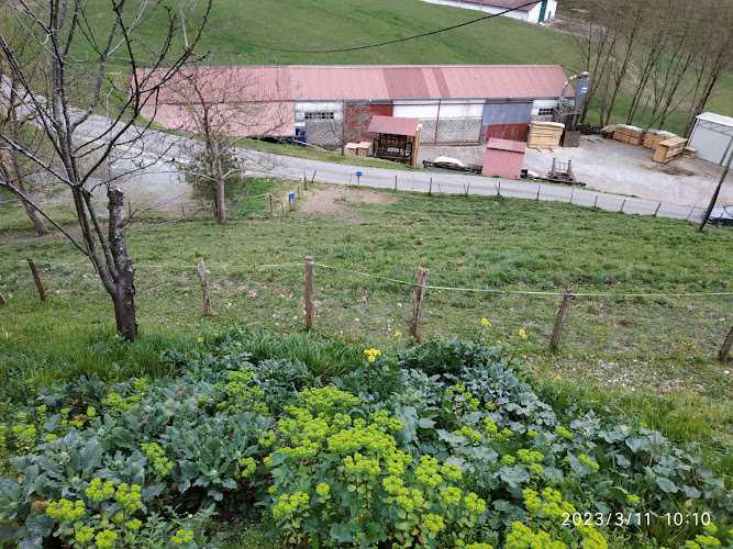 Fotografia tomada fuera de Maderas Aguirrebarrena S.L. - Aserradero en Amezketa, Guipúzcoa