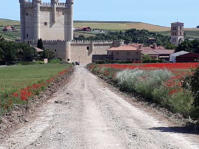 Fotografia tomada fuera de Maderas Pisuerga, S.L. - Establecimiento de venta de madera en Valladolid, Valladolid