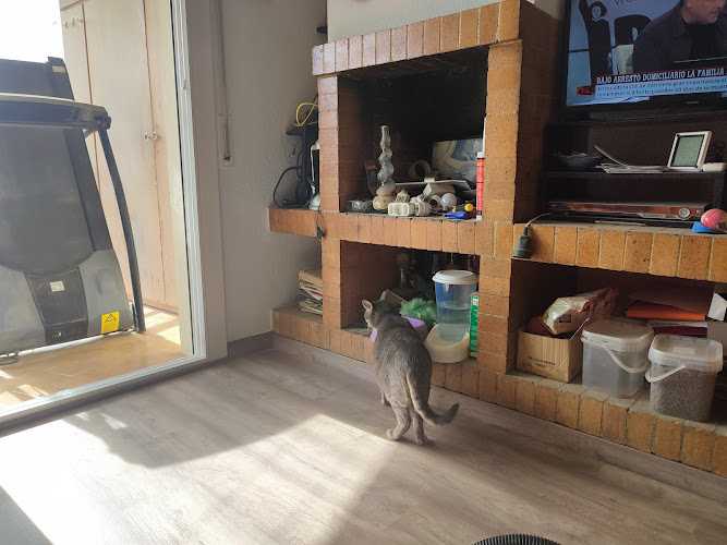 Fotografia tomada fuera de Nova Fusteria Comelles - Carpintería en Esparreguera, Barcelona