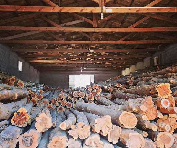 Fotografia tomada fuera de Good - Wood Creations - Carpenter en San Carlos, Baleares