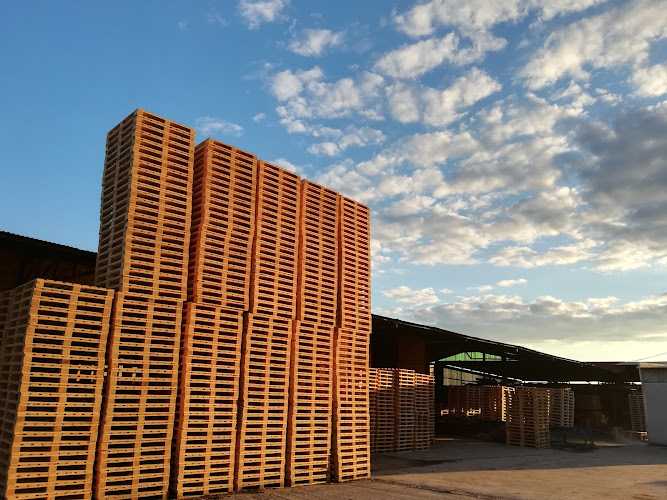 Fotografia tomada fuera de Traexfo S.L. - Aserradero en Montehermoso, Cáceres