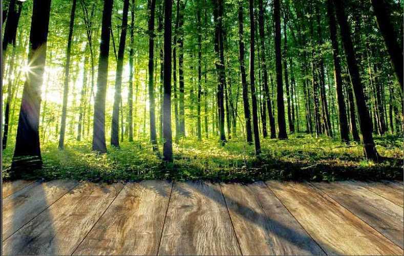 Fotografia tomada fuera de Interdor - Servicio de instalación de suelos de madera en Polígono de Pocomaco, A Coruña