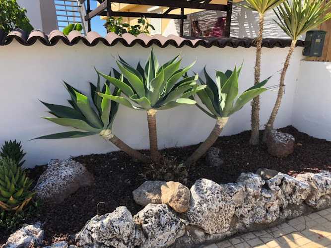 Fotografia tomada fuera de Rafuga Servicios - Carpintería metálica y de aluminio en Tamaimo, Santa Cruz de Tenerife